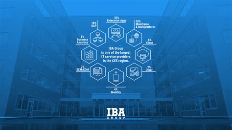 iba group com cn.